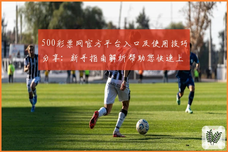500彩票网官方平台入口及使用技巧分享：新手指南解析帮助您快速上手
