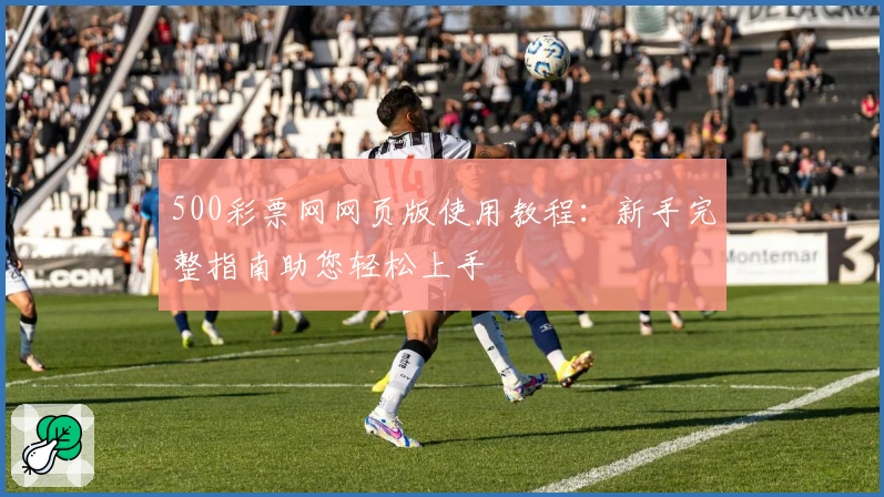 500彩票网网页版使用教程:新手完整指南助您轻松上手