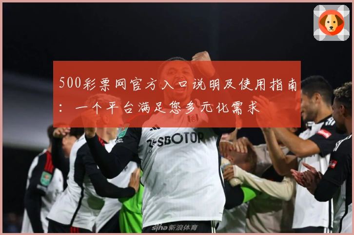 500彩票网官方入口说明及使用指南：一个平台满足您多元化需求